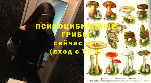 СК Володарск