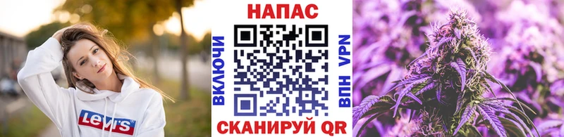 Бошки марихуана планчик  omg ссылки  Чита 